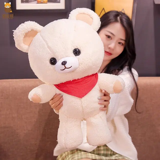 43cm52cm