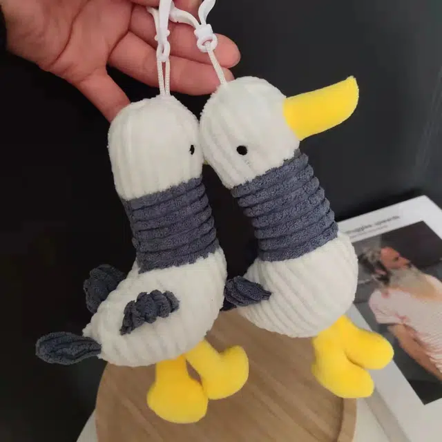 16cm