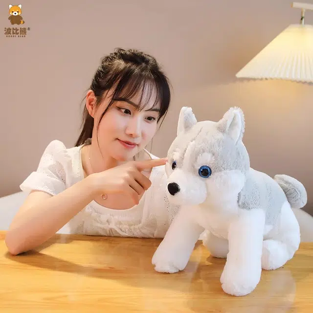 40cm50cm