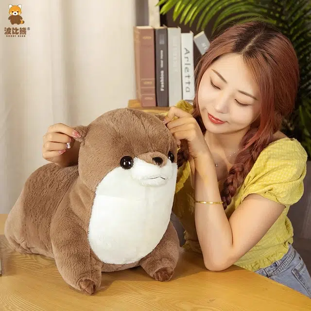 50cm65cm