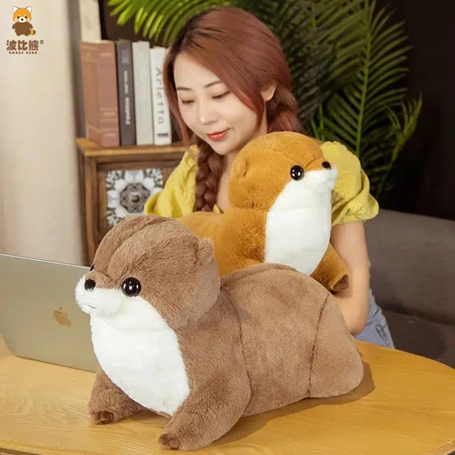 50cm65cm