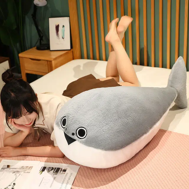 50cm80cm100cm