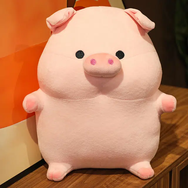 25cm35cm