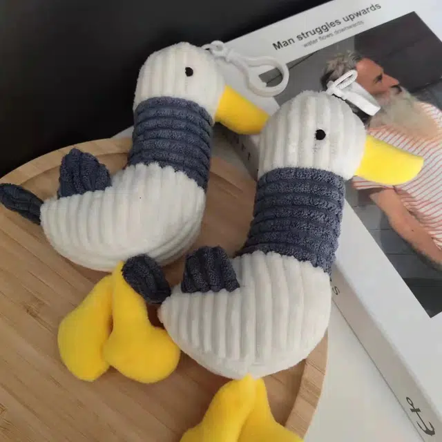 16cm