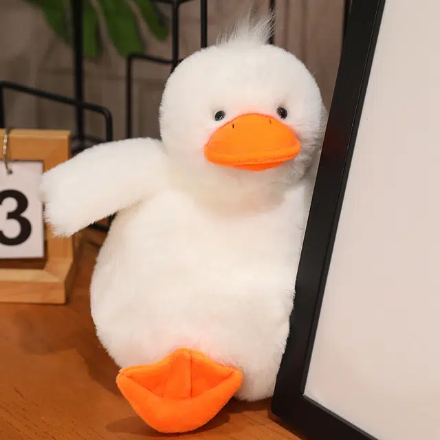 28cm