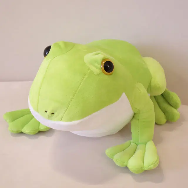 22cm29cm