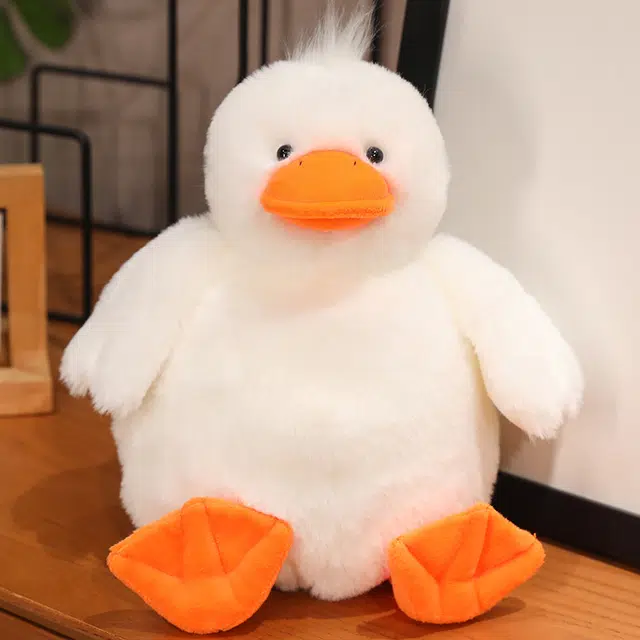 28cm