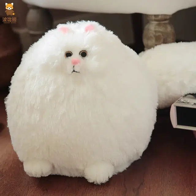 30cm50cm