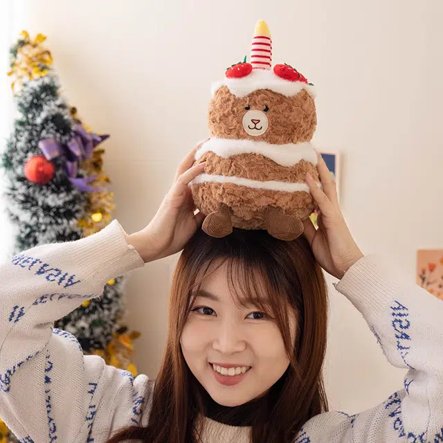 25cm
