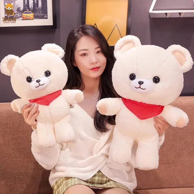 43cm52cm