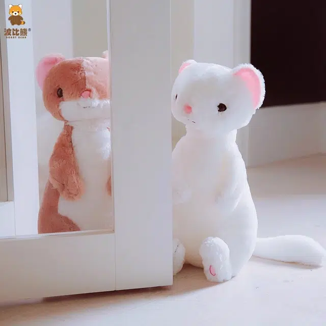 50cm