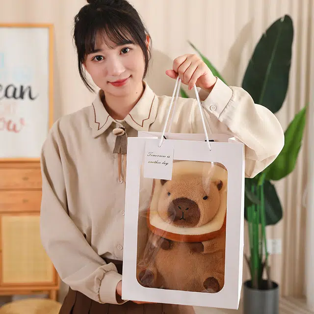 30cm40cm