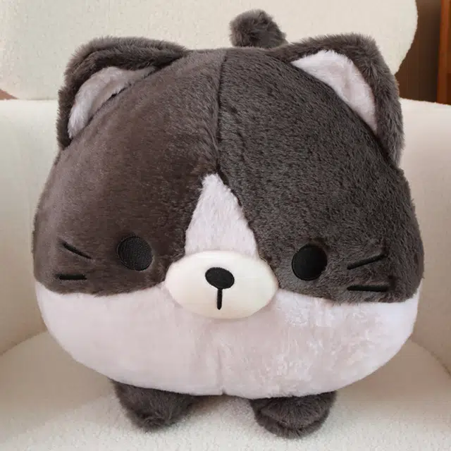 25cm35cm