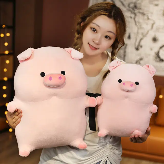 25cm35cm