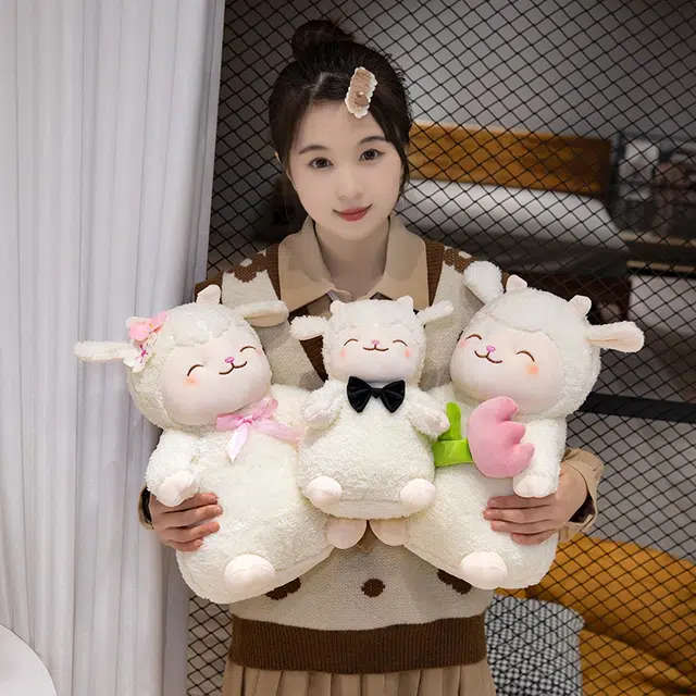 25cm35cm