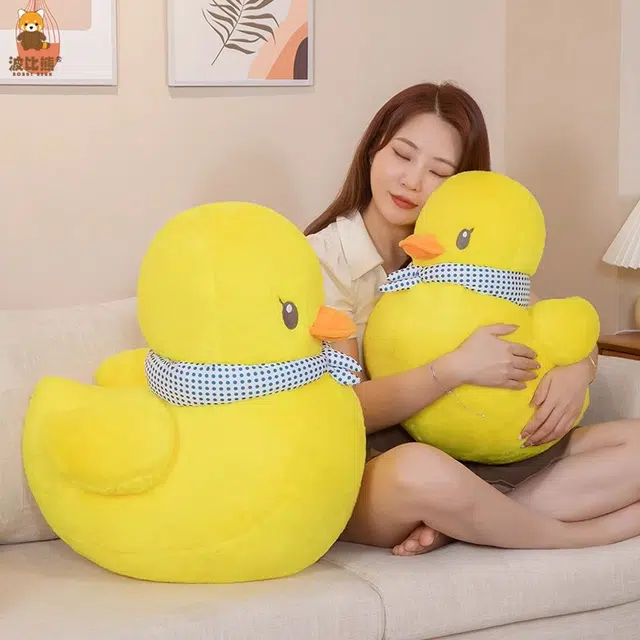 40cm50cm