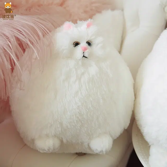 30cm50cm