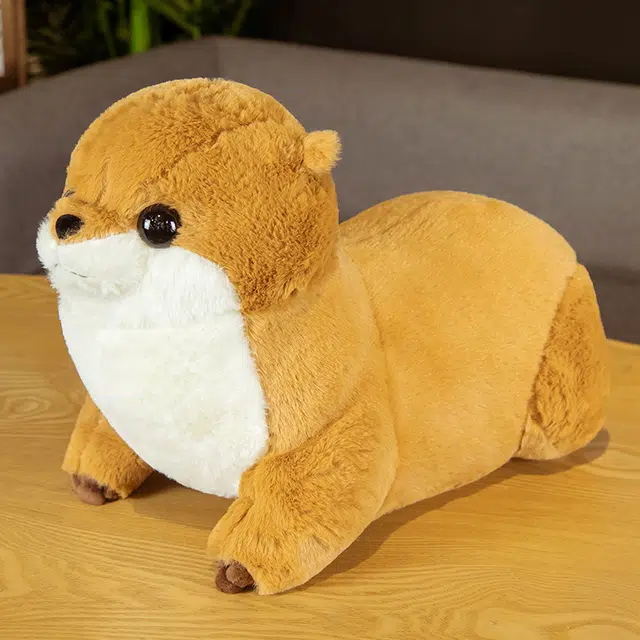50cm65cm