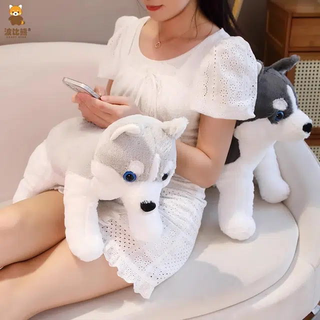 40cm50cm