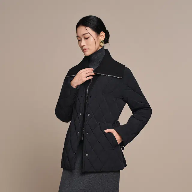 波司登 舒适百搭轻薄轻奢小香风羽绒服 女款