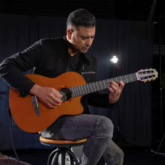 YAMAHA NTX1NCX1