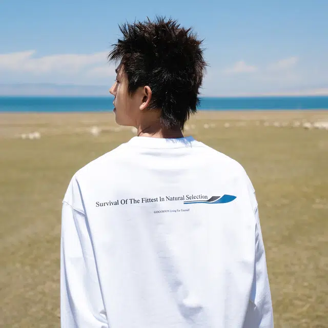 GOGOSOON 300gT