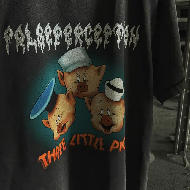 False Perception T