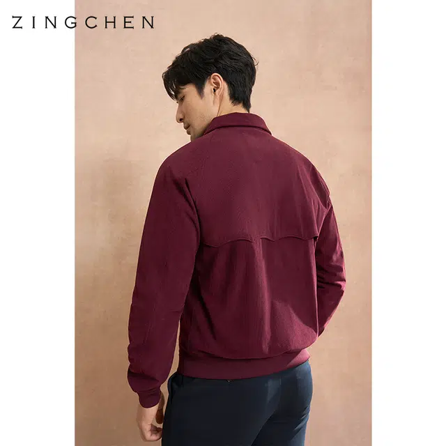 ZINGCHEN A2