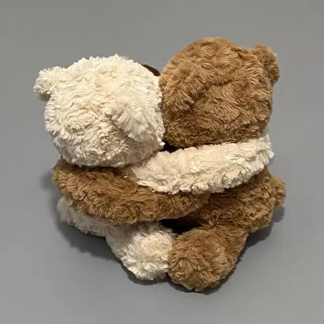 25cm35cm