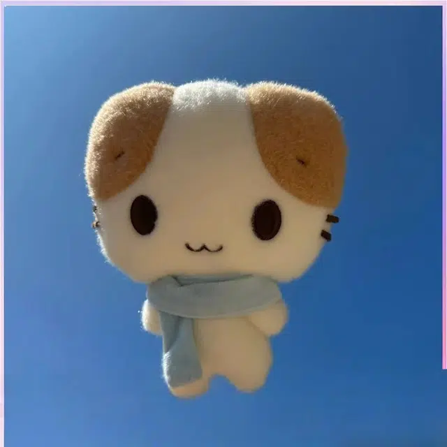 18cm30cm