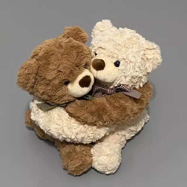 25cm35cm