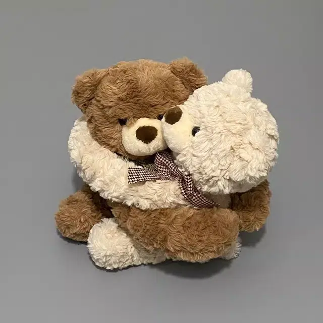 25cm35cm