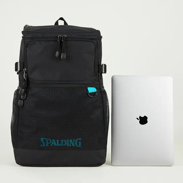 SPALDING