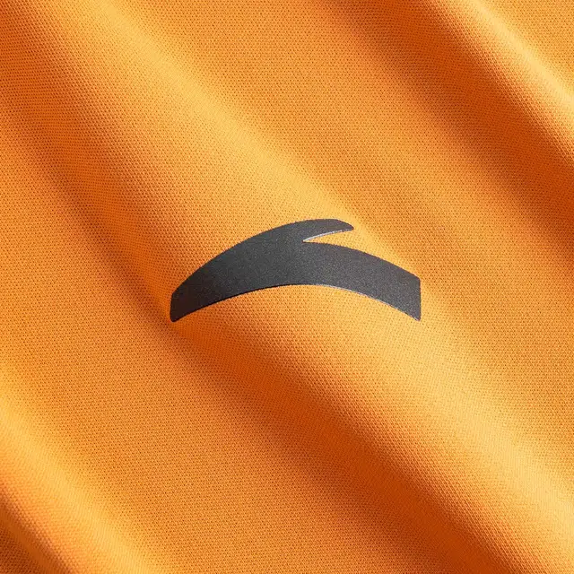 Anta 2025T