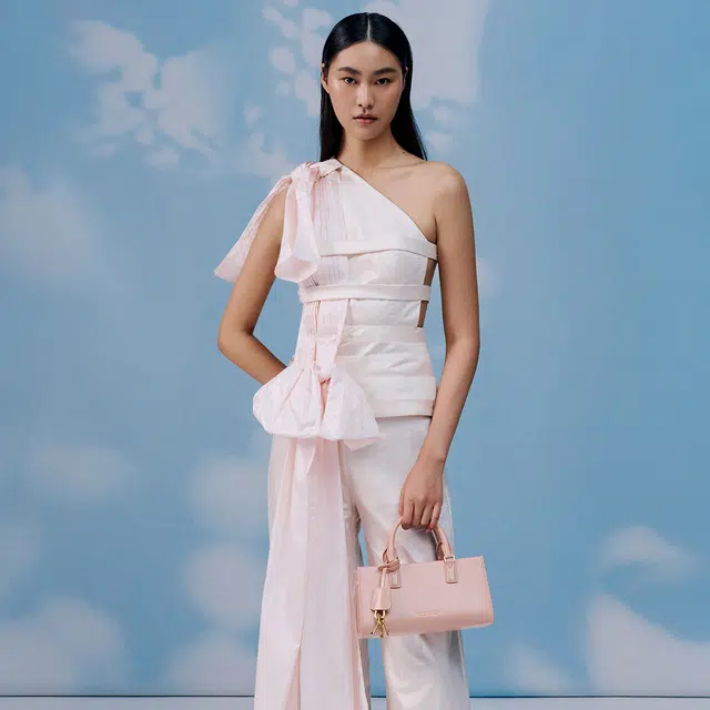 Charles & Keith Handbag