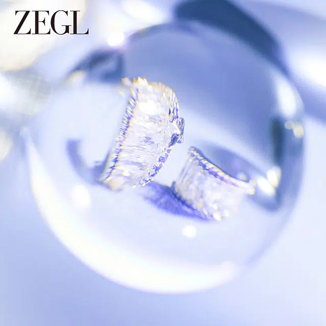 ZEGL 925