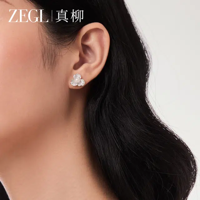 ZEGL S925