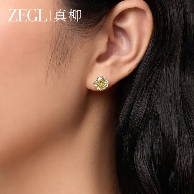 ZEGL S925