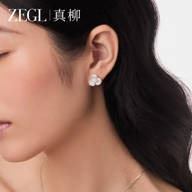 ZEGL S925