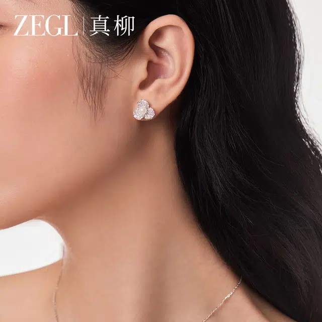 ZEGL S925
