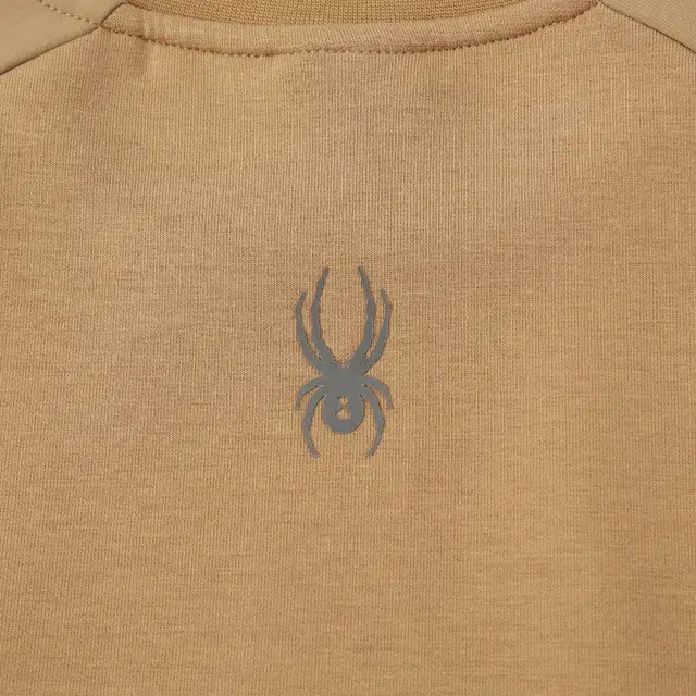 SPYDER