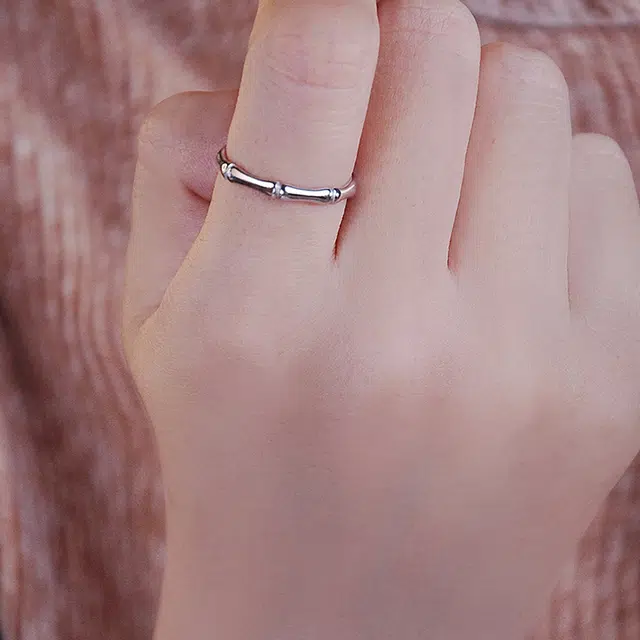 ins S925