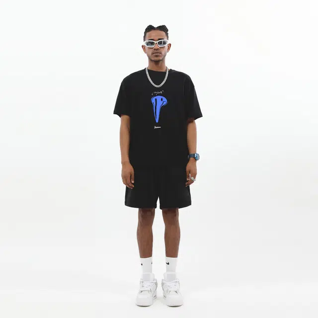 PAULASARA T