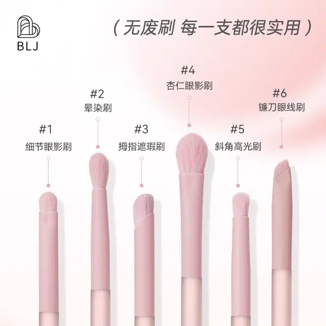 BLJ 6