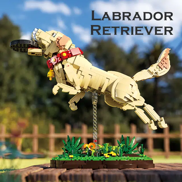 LABRADOR RETRIEVER 1257pcs YMXJM66060