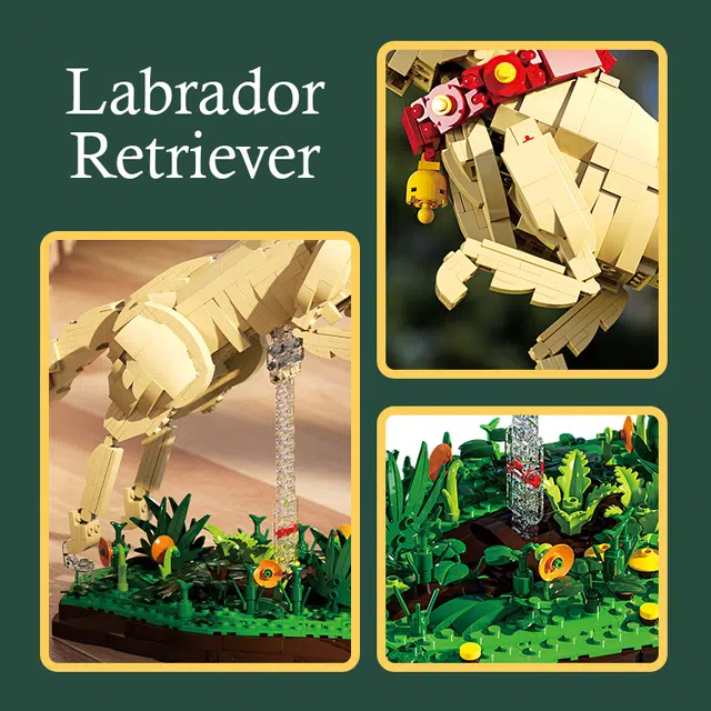 LABRADOR RETRIEVER 1257pcs YMXJM66060