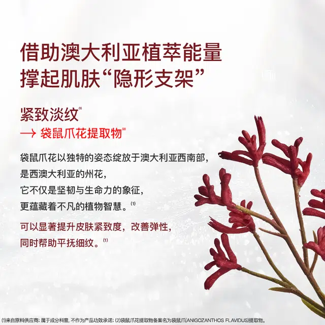 听研 听研奢幻恒时抗皱乳霜眼膜 保湿滋润紧致舒缓