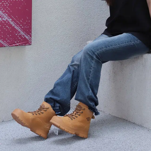Dickies