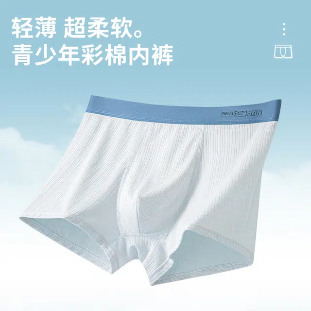 宫蝶 柔软亲肤抗菌四角裤衩抑菌里档透气平角裤大码内裤 男款