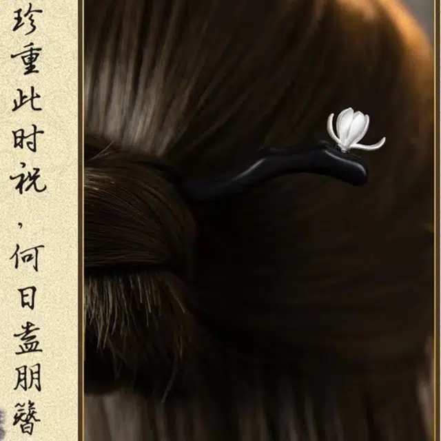暖瞳 优雅自然精致创意日常盘发高级感古典时尚 黑檀木 发簪 女款